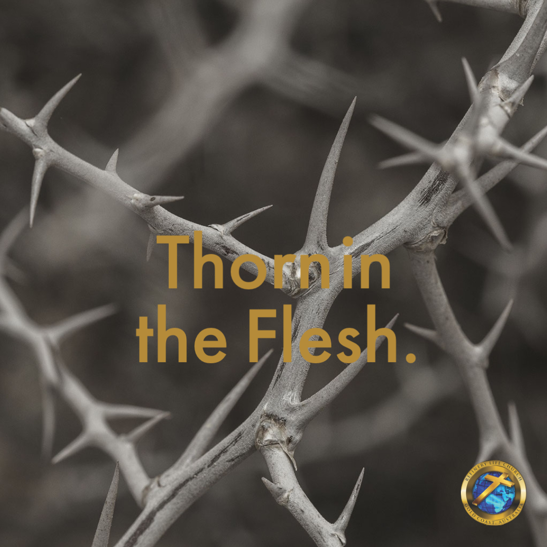 Thorn in the Flesh. Refinery Life